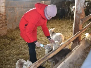 Поддержка фермерских хозяйств и сельхозкооперативов, открытие Года единства народов России, развитие беспилотных авиационных систем и другие итоги недели